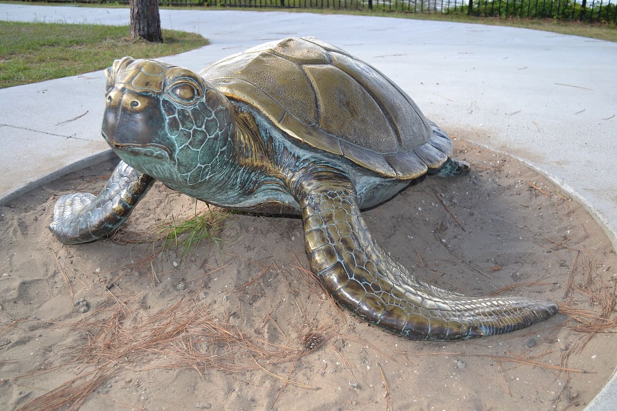 A bronze sculpture of a sea turtle on the aquarium grounds