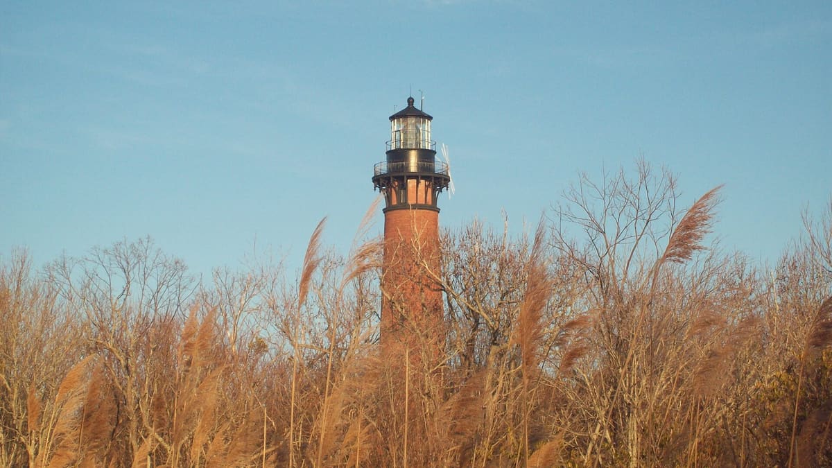 The brick tower rising above tall reeds and grasses
