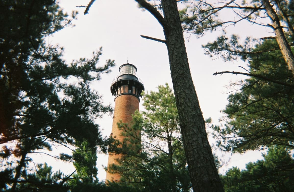 The tall red brick lighthouse rising between pine trees on a clear day