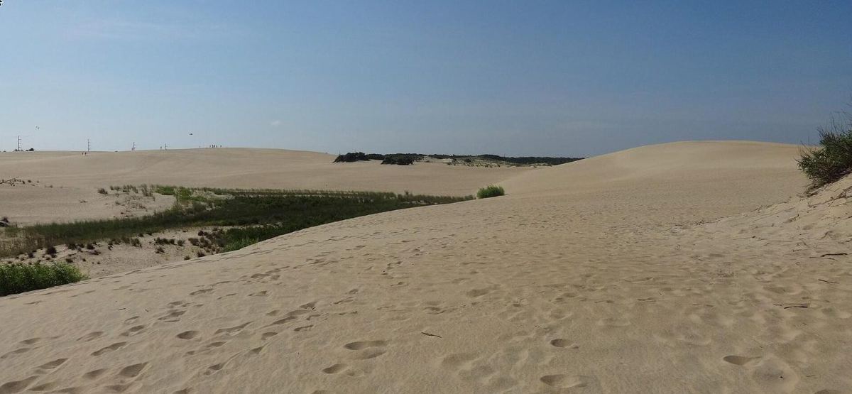 Open sand and low scrub spreading across the dune field at Jockey's Ridge