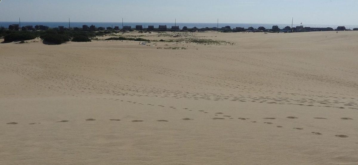 A wide slope of open sand falling away toward the ocean and a line of beach houses
