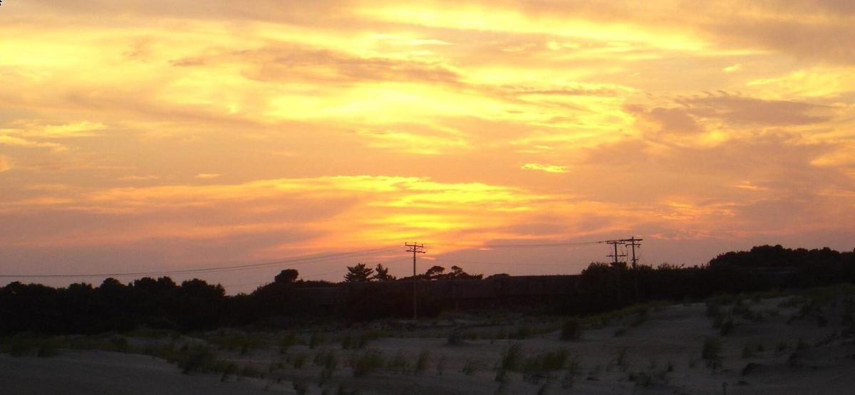 An orange and gold sky over the dark treeline and dune grass at dusk