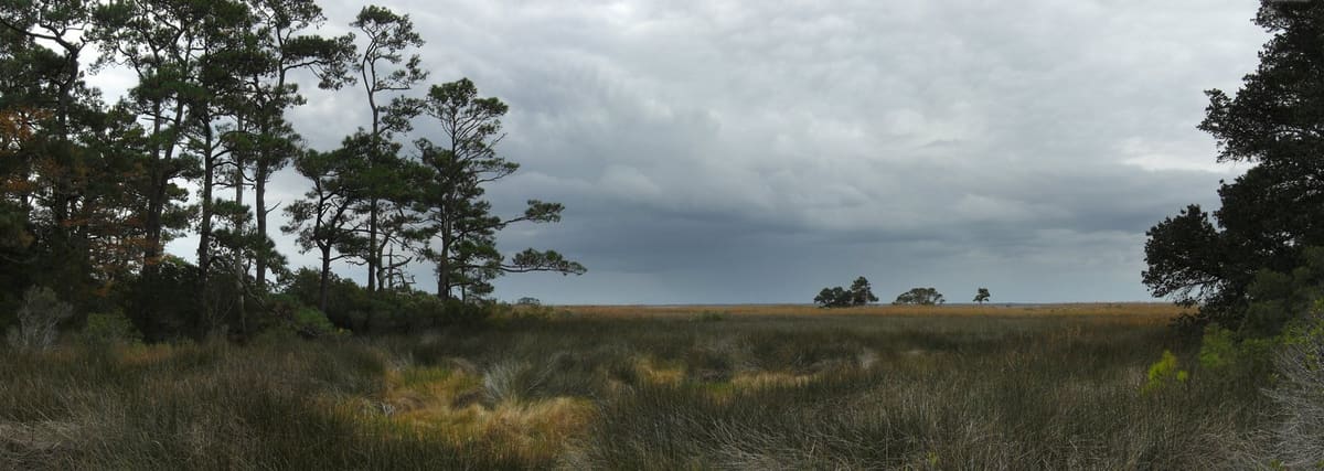 A wide view over brackish marsh and Bodie Sound from the edge of Nags Head Woods under heavy cloud